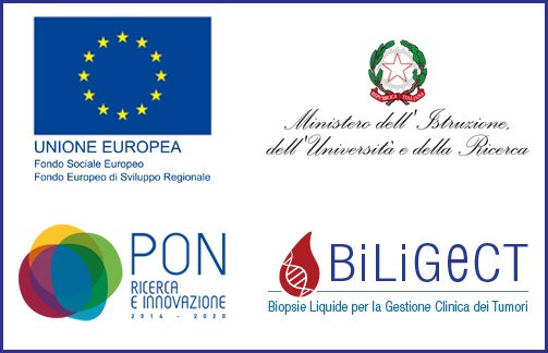 Progetto BiLiGeCT