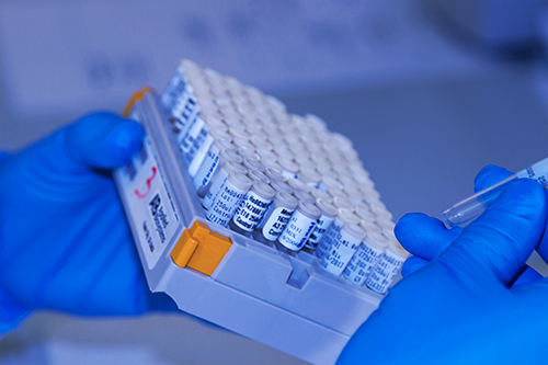 Sanger Sequencing