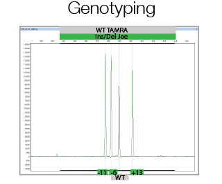 CrispR/Cas9