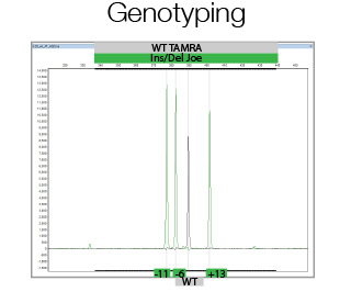 CrispR/Cas9