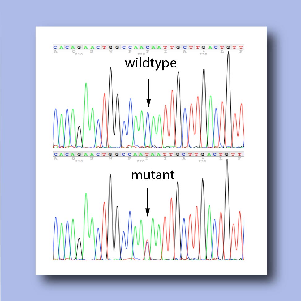 Data Analysis