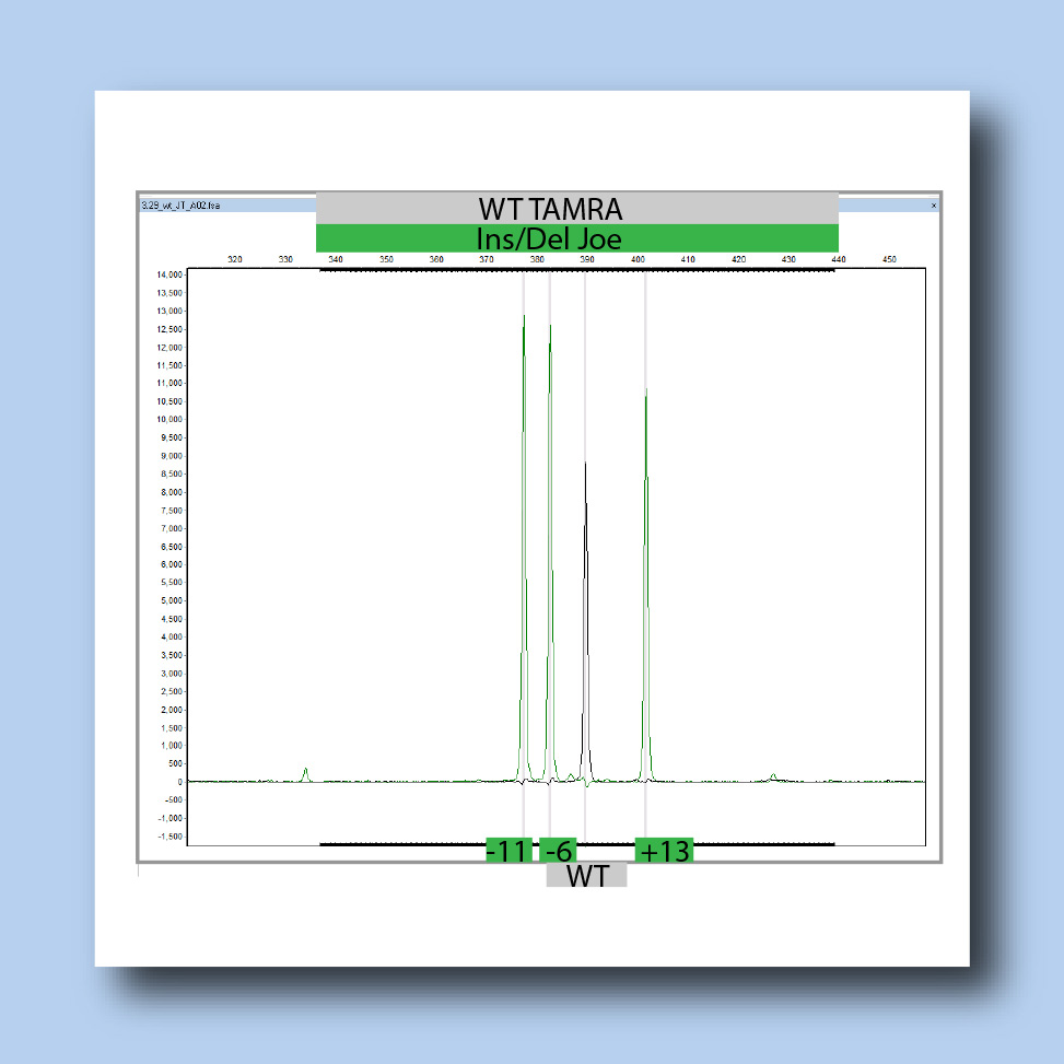 Fragment Analysis