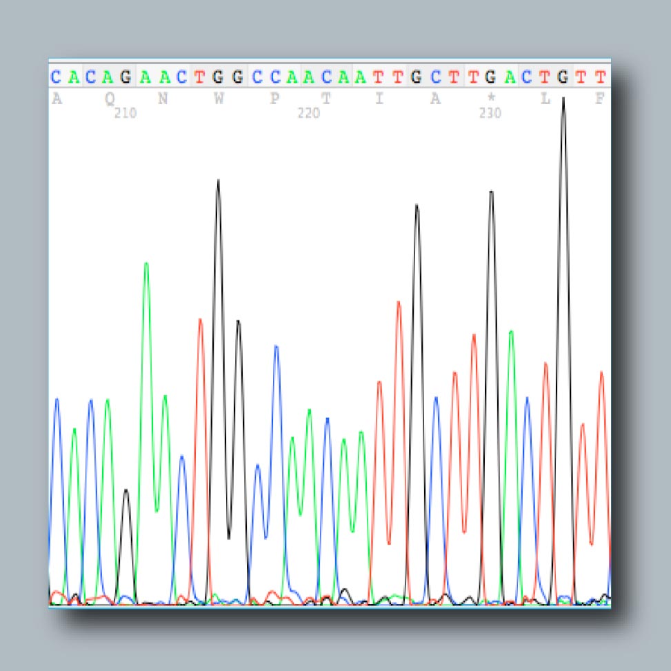 Sequencing