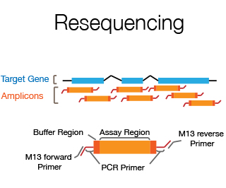 resequencing