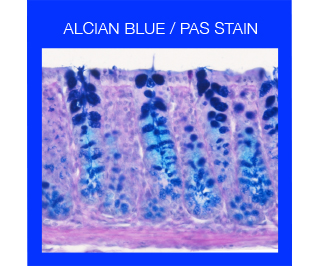 alcian-pas