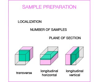 sample Prep