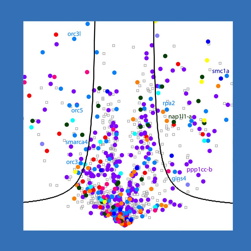 Data Analysis