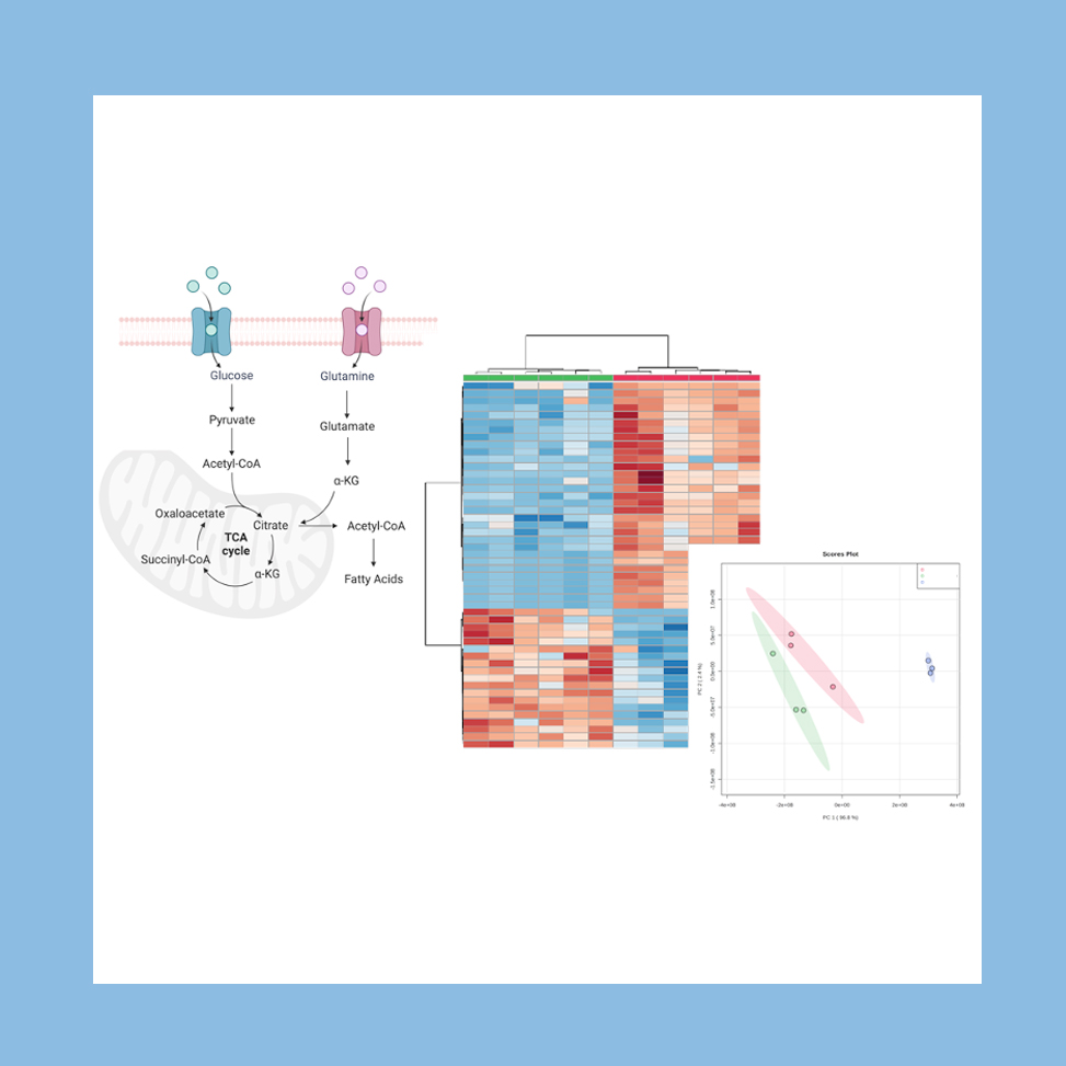 Mass Spectrometry