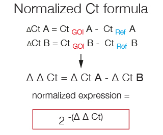 Normalized Ct Formula